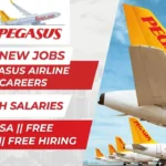 Pegasus Airline