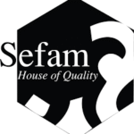 Sefam Pvt Ltd